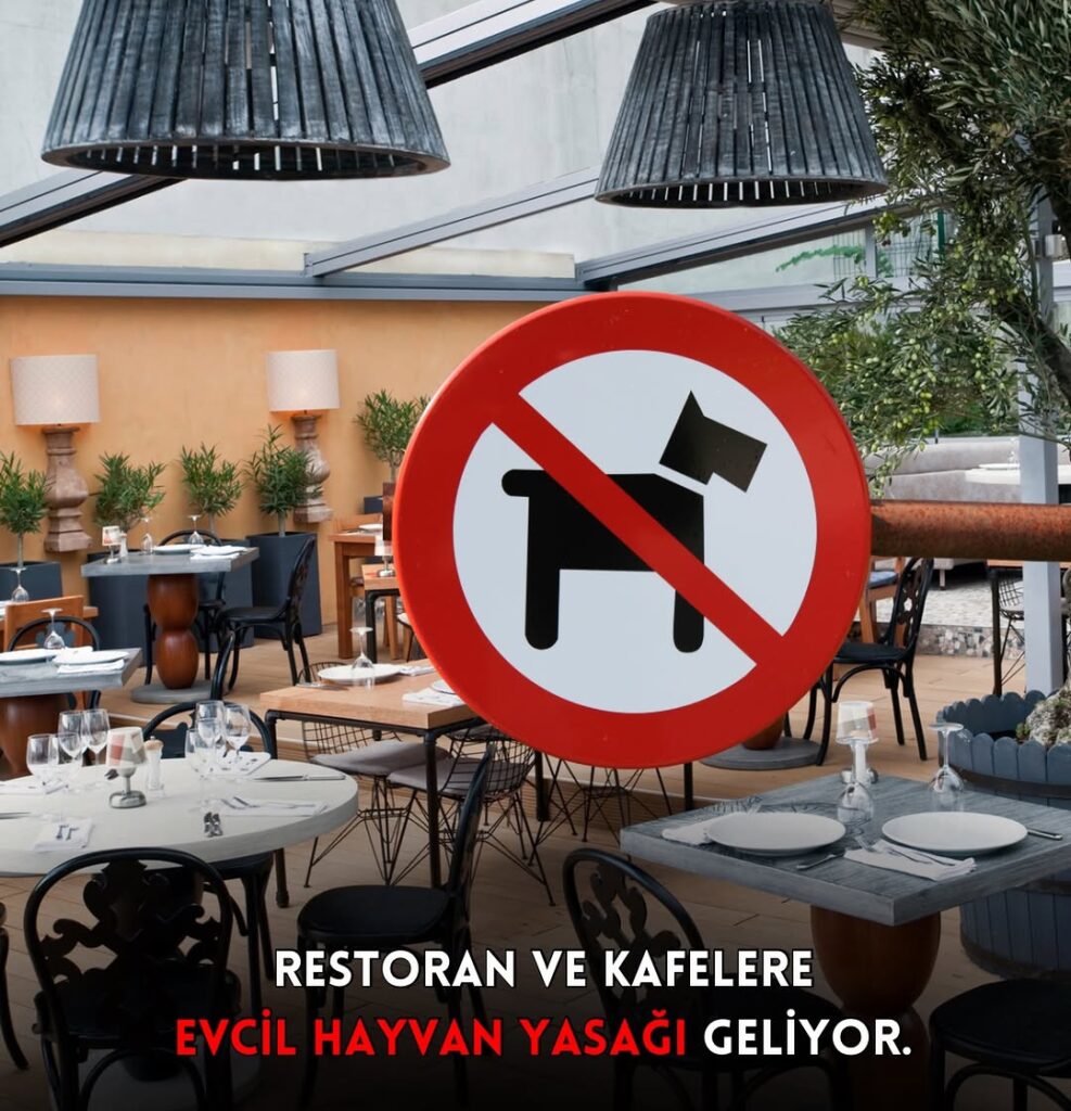 Restoran ve Kafelerde Evcil Hayvan Dönemi Değişebilir: Yeni Yasa Taslağı Gündemde
